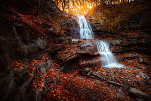 �1760010 �������(a): ����������:2048x1365